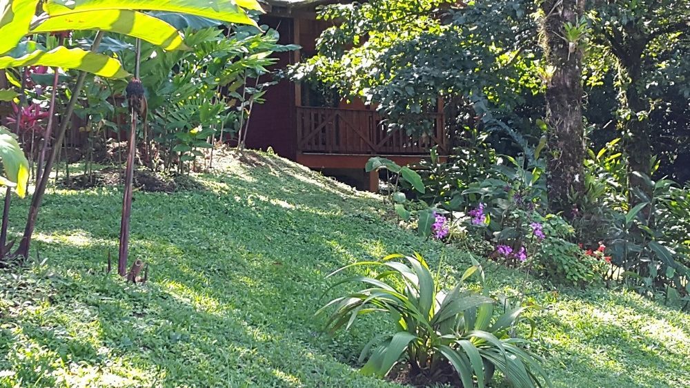 Heliconias Rainforest Lodge Bijagua Esterno foto